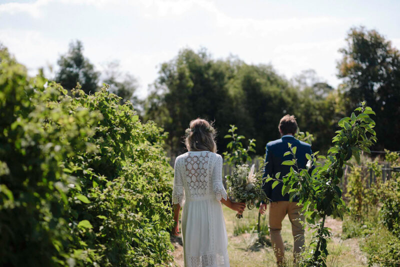 bride and groom walking in the raspberry farm in melbourne