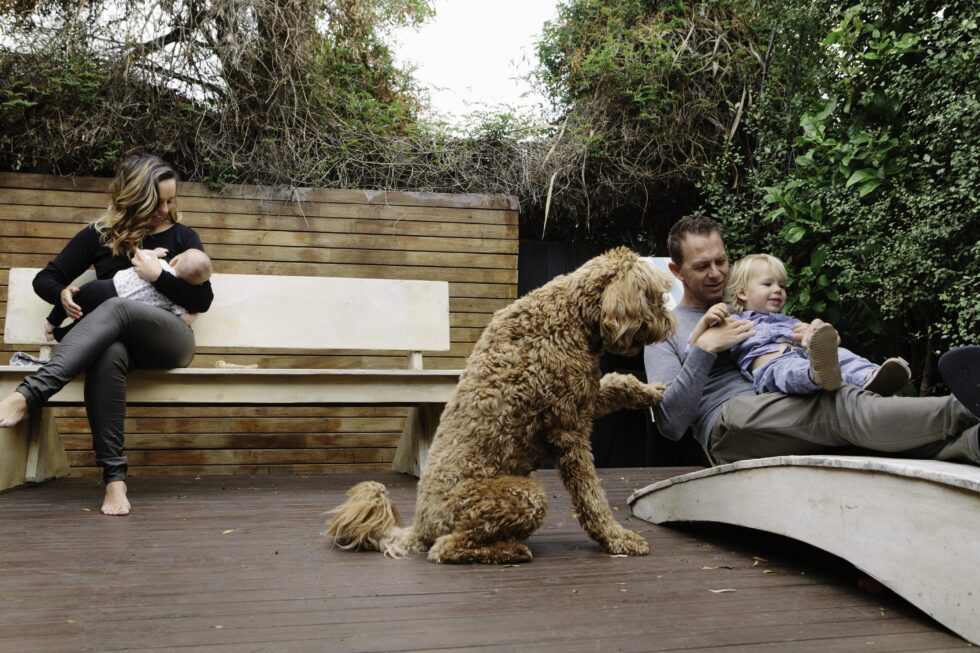 A family and their pet dog are spending time together in their backyard.